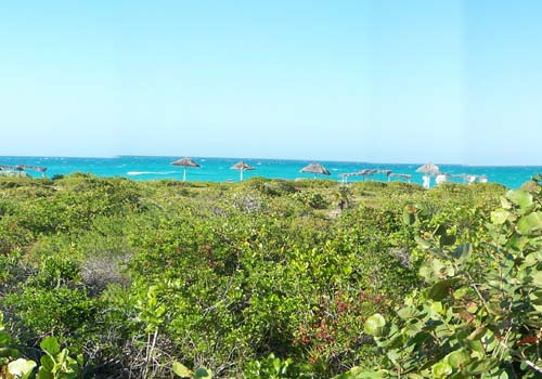 Куба, Кайо Санта Мария, отель Sol Cayo Santa Maria 4* 
